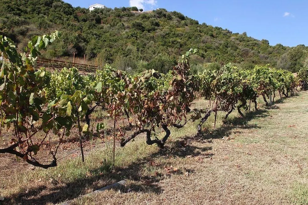 Agriturismo Sa Inza