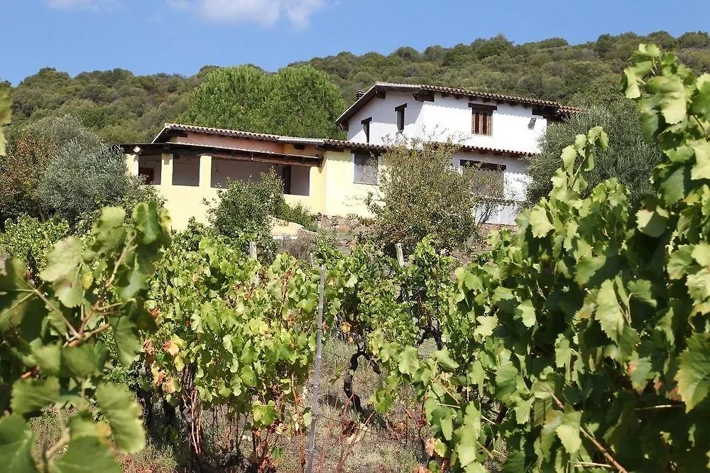 Agriturismo Sa Inza Bauernhof