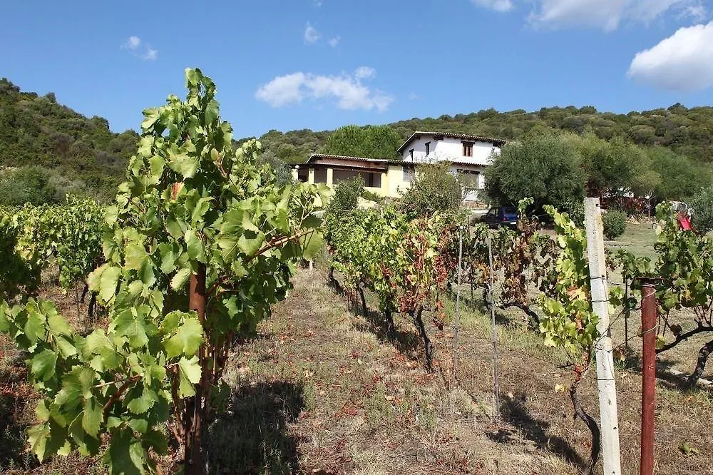 Agriturismo Sa Inza Torpè