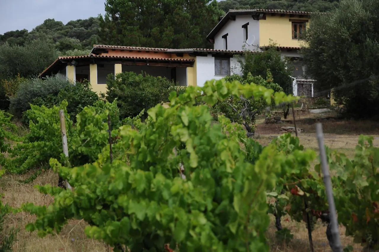 Bauernhof Agriturismo Sa Inza